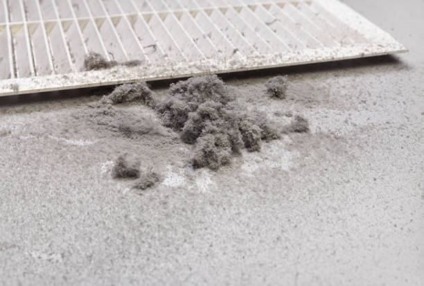 Best Air Duct Cleaning Company Near Me  in Millington, NJ