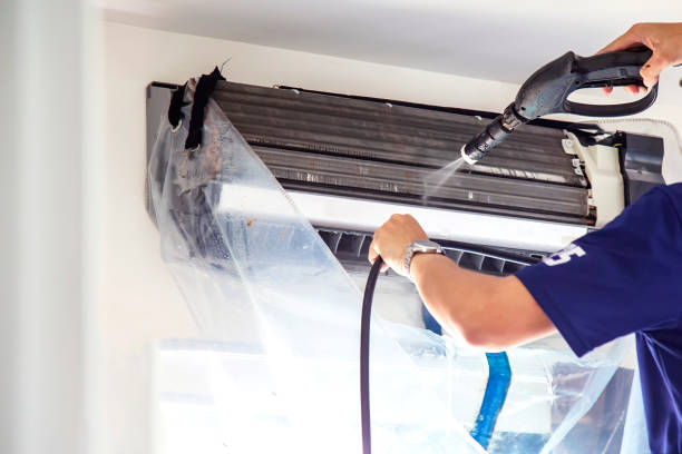 Best Air Duct Mold Removal  in Millington, NJ