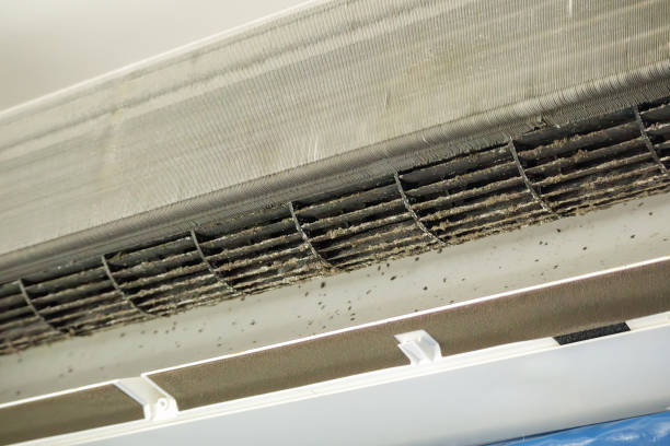 Best Commercial Air Duct Cleaning  in Millington, NJ